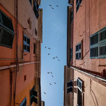דירה Nico's House *